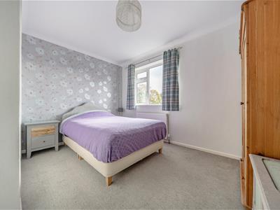 Picture 13